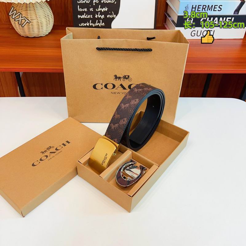 Coach belt 38mmX105-125cm 8L33